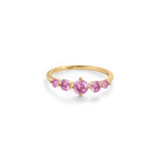 Five Stone Statement Birthstone Ring