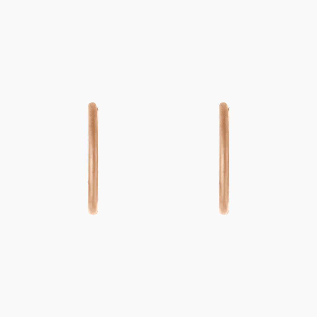 Small Hoop Earrings