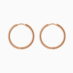 Small Hoop Earrings