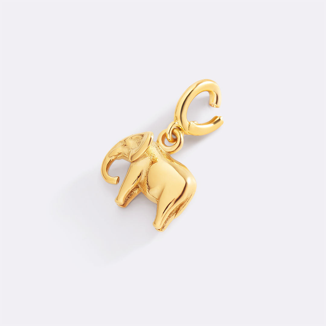 Good Luck Elephant Charm