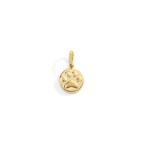 Paw Print Charm