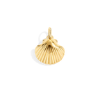 Shell Charm