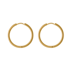 Small Hoop Earrings