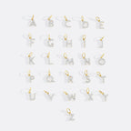 Diamond Initial Charm