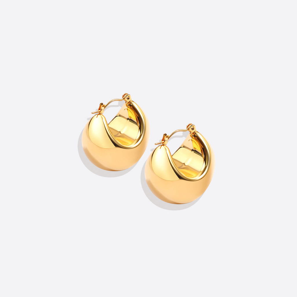 Sculpted Hoop Earrings
